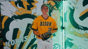Sam Anderson Baseball GIF by NDSU Athletics