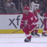 ballysportsdetroit celebration celebrate goal hockey GIF