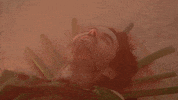 season 2 episode 10 GIF by DREAM CORP LLC