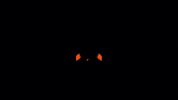 League Of Legends Lol GIF by Fnatic