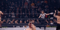 Chris Jericho Wrestling GIF by AEWonTV