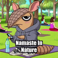 Yoga Park GIF by Chillo Dillo