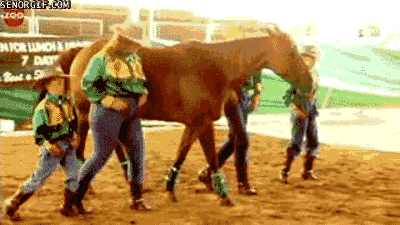 dance party dancing GIF by Cheezburger