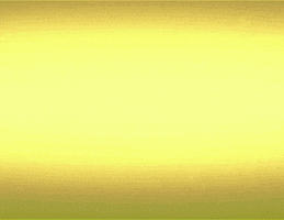 3 2 1 lion GIF by Rhein-Neckar Löwen