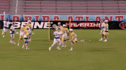 GIF by WarriorLax