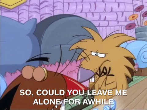 angry beavers nicksplat GIF