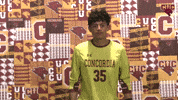 Msoc GIF by CUCougars