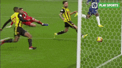 sport post GIF by Play Sports