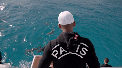 will smith swimming GIF by Will Smith's Bucket List