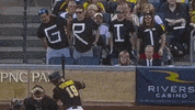 big cat pft GIF by Barstool Sports