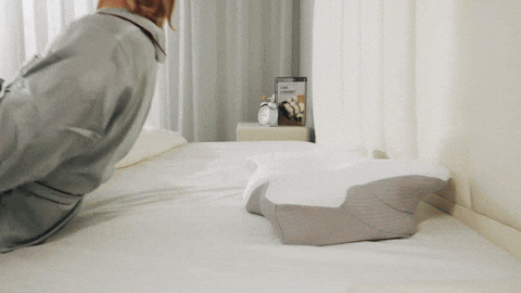 marz221 giphyupload GIF