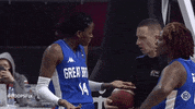 If You Say So Ok GIF by Hoopsfix
