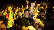 Fans GIF by blink-182