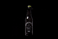 naobeer beer cerveza craft beer cerveza artesanal GIF