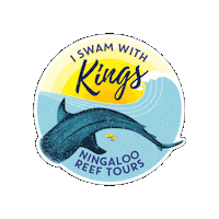 KingsNingaloo kings mantaray exmouth ningaloo Sticker