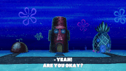 season 9 GIF by SpongeBob SquarePants