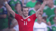 euro 2016 GIF by Sporza