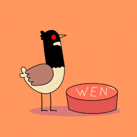 Canadian Goose Bird GIF by Dippies