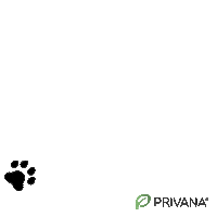Paws Footsteps Sticker by PRIVANA.COM