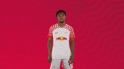Come On Good Job GIF by RB Leipzig