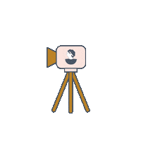Camera Reportage Sticker by Artesane