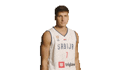 Bogdanbogdanovic Sticker by sportmts