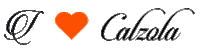 Logo Love Sticker by Calzola