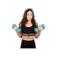Socialcycle Sticker by SocialCycleSpinStudio
