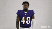 Charm City Football GIF by Baltimore Ravens