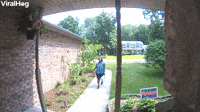 Amazon Driver Takes Frustrations Out on Packages