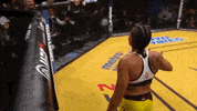 happy amanda nunes GIF