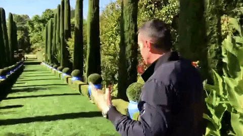 bake off GIF by Mediaset España