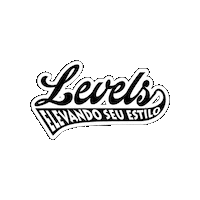 Logo Levels Sticker by Levelsloja