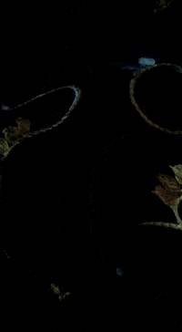 Mduggal way to go almost there michael duggal michael duggal way to go GIF