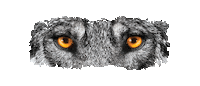 CravepetfoodsUS dog halloween makeup moon Sticker