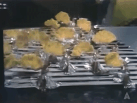 oscars 1972 GIF by The Academy Awards