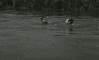 Film Swim GIF