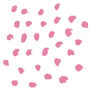 Real Estate Pink Sticker by Erie HomeGirl