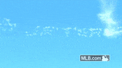 nyy GIF by MLB