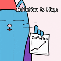 Blue Cat Money GIF