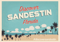 sandestin beach florida 30a destin GIF
