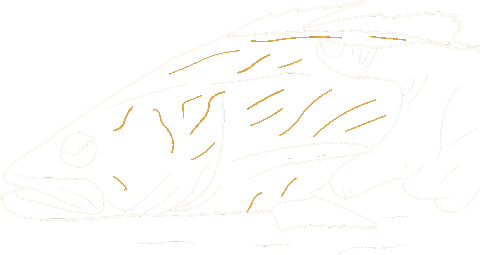 Mdc Statefair Sticker by MO Dept of Conservation