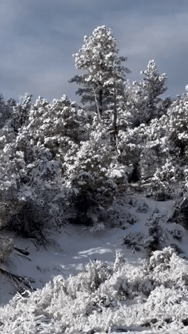 Colorado Residents Wake Up to Fresh Snow