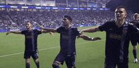 Flying Fly Eagles Fly GIF by Major League Soccer
