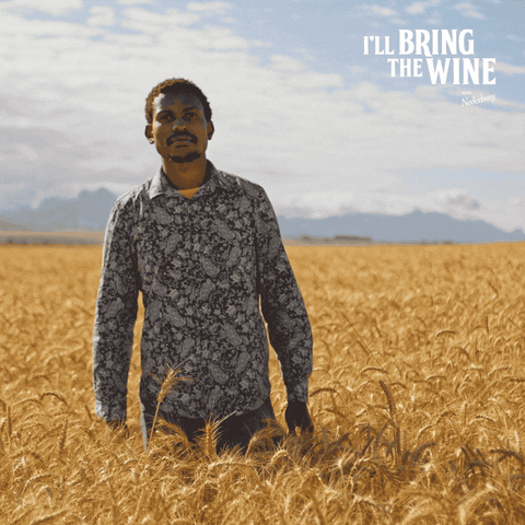 Ice Cream Wine GIF by Nederburg