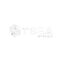 tseaenergy energia enegy tsea tsea energia Sticker