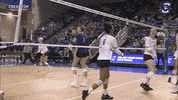 Gojays GIF by Creighton University Athletics
