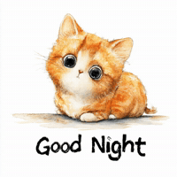 Sleepy Good Night GIF