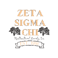 ZetaSigmaChi black peach 1991 radiant Sticker