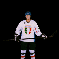 federazioneghiaccio hockey ice wintersport sportinvernali GIF